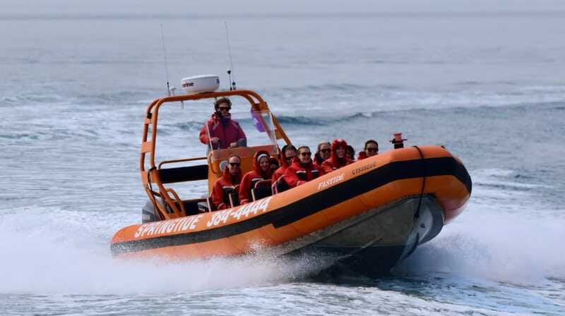From Victoria: Whale Watching Tour by Zodiac Boat - What the guide adds to three hours on the water