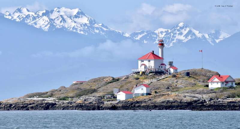 From Victoria: Whale Watching Tour by Zodiac Boat - Who should book this Zodiac tour?