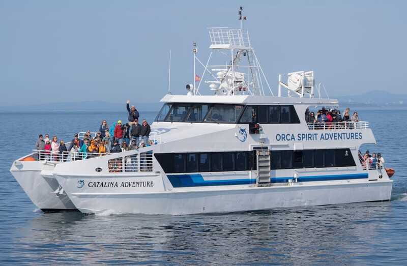 From Victoria: Whale Watching Trip on Covered Boat - Who will enjoy this most