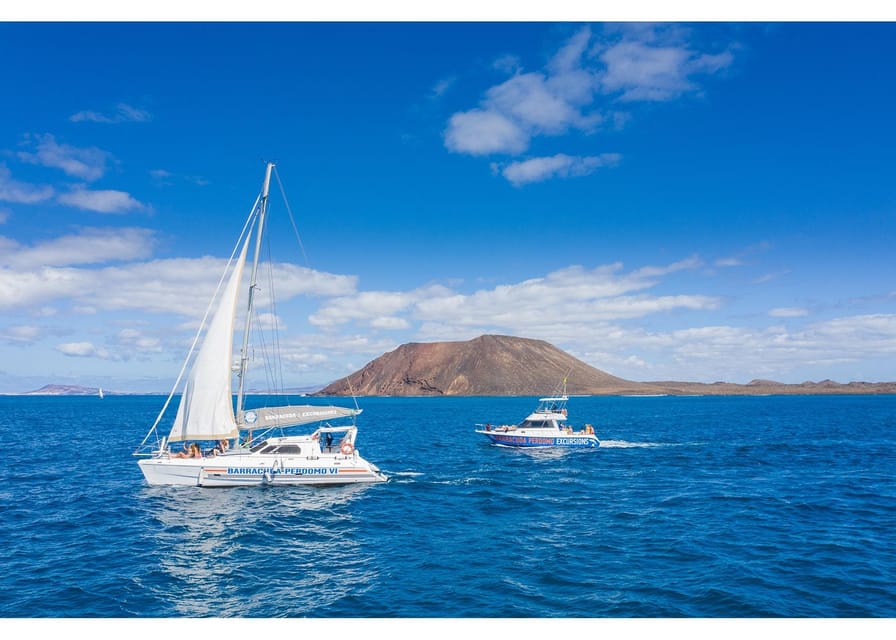 Fuerteventura: Whale & Dolphin Watching Boat Tour with Guide - The wildlife search: exciting, but never guaranteed