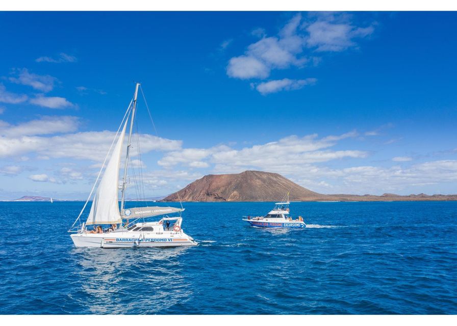 Fuerteventura: Whale & Dolphin Watching Boat Tour with Guide - Lunch, drinks, and the Lobos Island pause