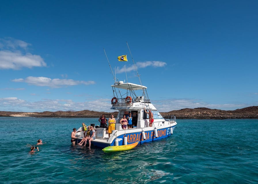 Fuerteventura: Whale & Dolphin Watching Boat Tour with Guide - What the five-hour boat trip feels like