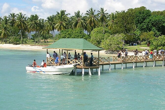 Full Day Bacardi Whale Watching - End Season March 30th - Practical packing advice for the boat and beach
