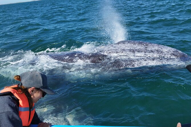 Full Day Gray Whale Watching Experience - Why Puerto Chale Makes This a Serious Whale Day