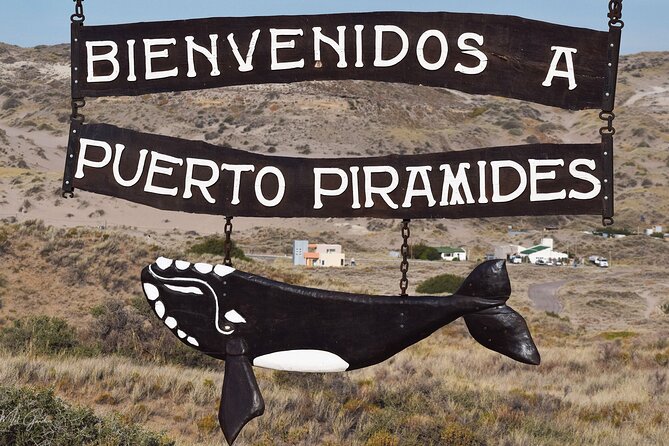 Full Day Peninsula Valdes Experience - optional Whale Watching - Starting at the Ameghino viewpoint