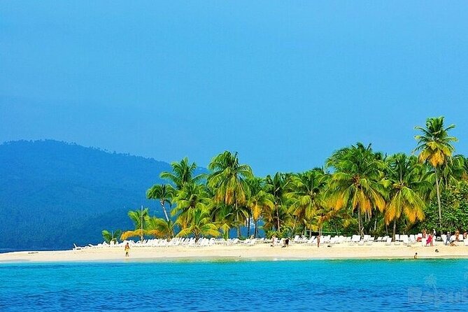 Full-day Whale watching Tour in Samana Bay from Punta Cana - Whale watching in the humpback sanctuary
