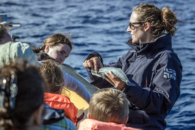 Full-Day Whales & The Princess Ring Islet (incl. Lunch) - Does the $134.68 price make sense?