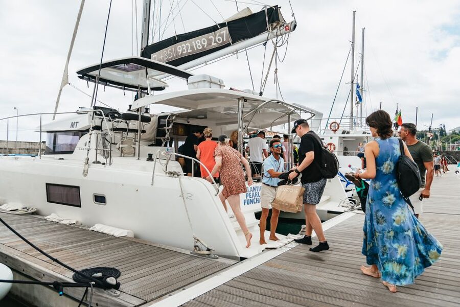 Funchal Bay: Dolphin & Whale Watch Luxury Catamaran Cruise - Key points to know before booking