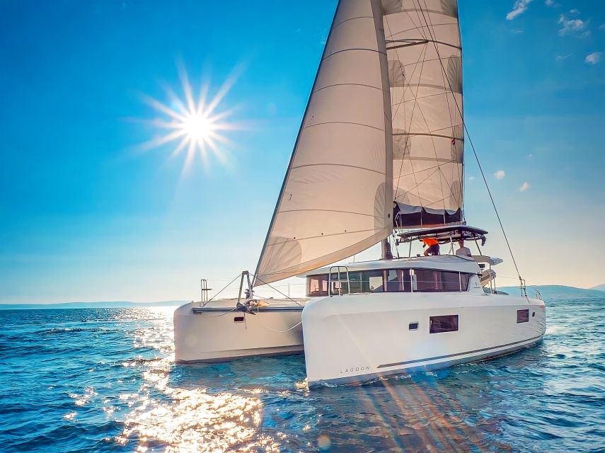 Funchal Bay: Dolphin & Whale Watch Luxury Catamaran Cruise - Wildlife watching in Funchal Bay