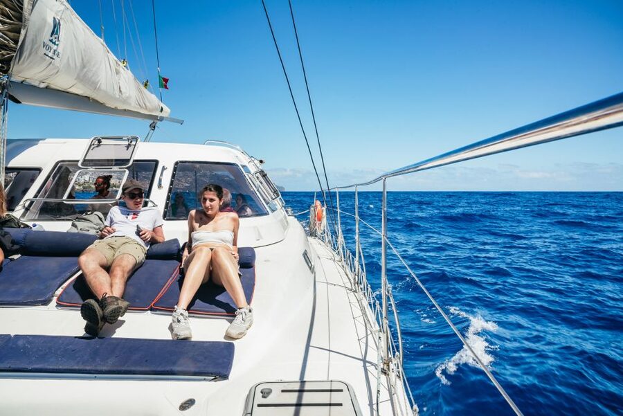 Funchal: Dolphin and Whale Watching by Luxury Catamaran - Useful booking advice for your day