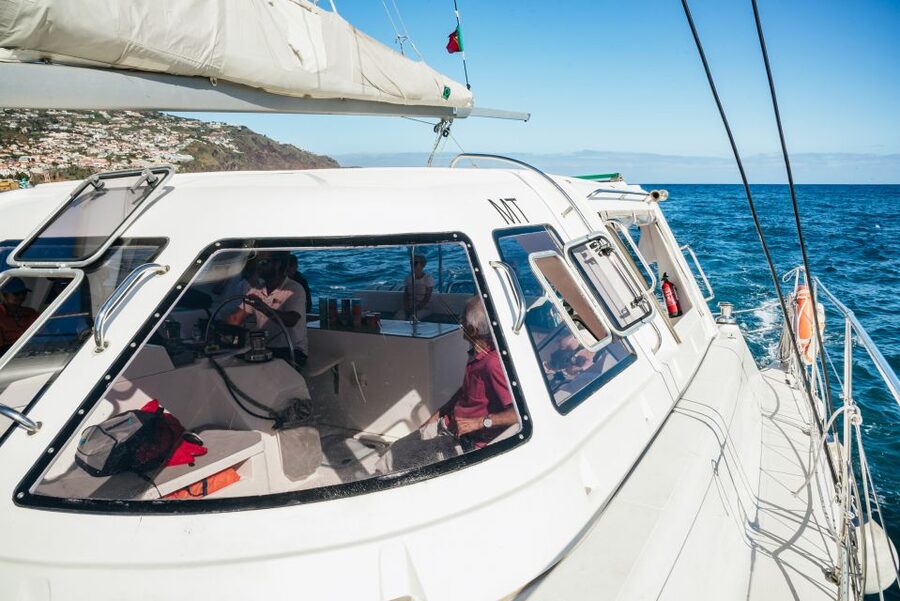 Funchal: Dolphin and Whale Watching by Luxury Catamaran - Why this catamaran is different from a basic boat ride