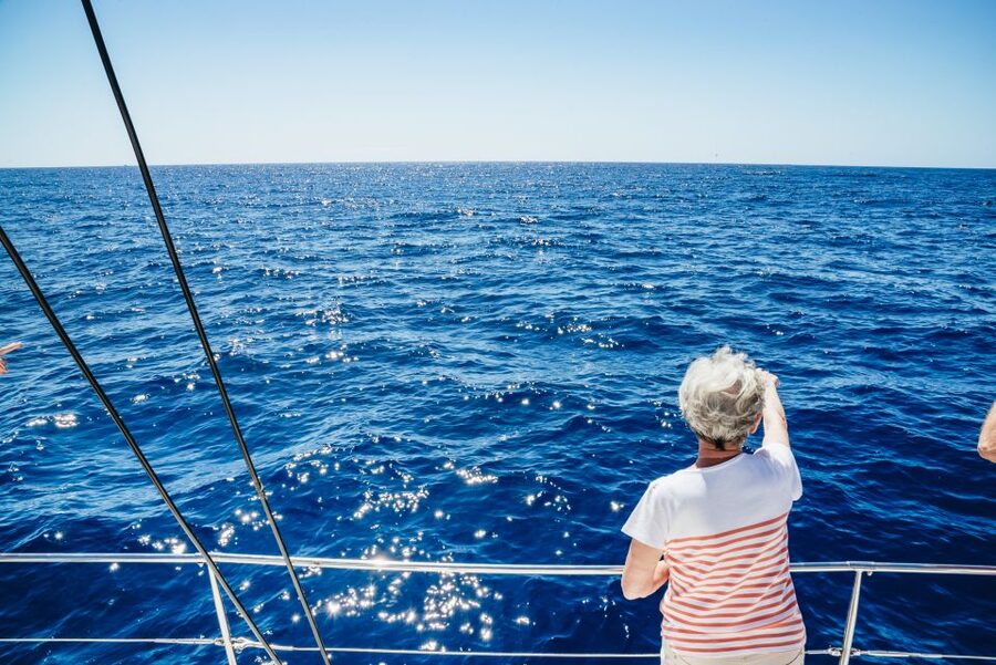 Funchal: Dolphin and Whale Watching by Luxury Catamaran - Sailing out across Funchal Bay