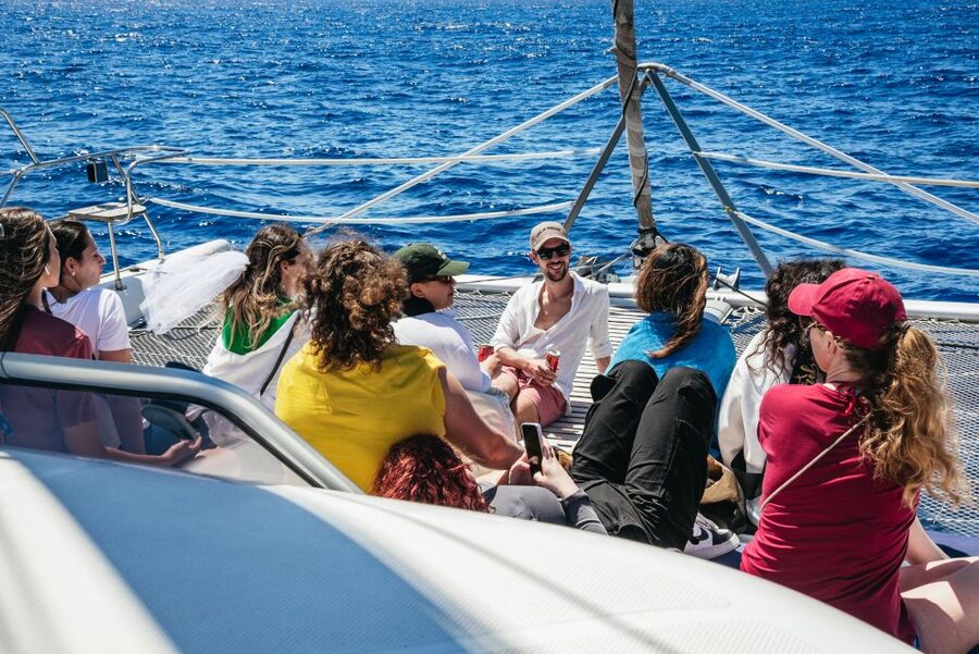 Funchal: Dolphin and Whale Watching by Luxury Catamaran - Searching for dolphins, whales, and other marine life