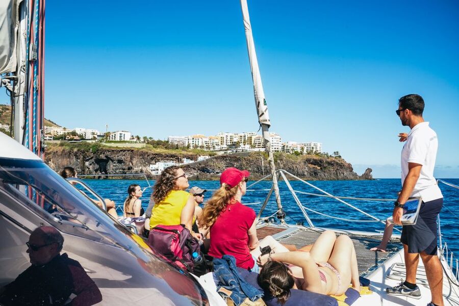 Funchal: Dolphin and Whale Watching by Luxury Catamaran - Cabo Girão and the swimming stop