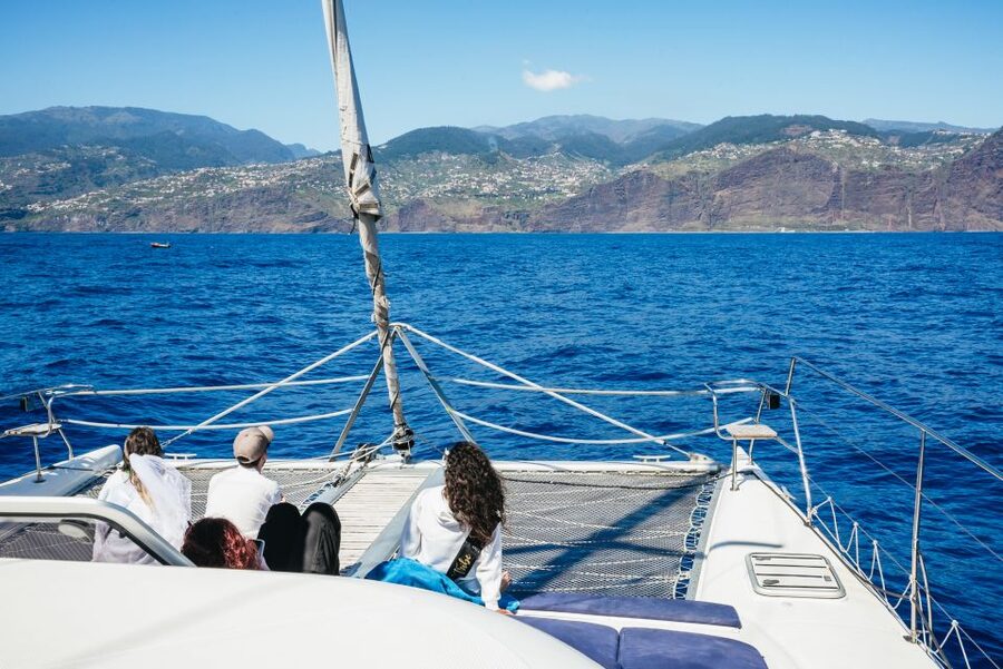 Funchal: Dolphin and Whale Watching by Luxury Catamaran - Is the $47 price good value?