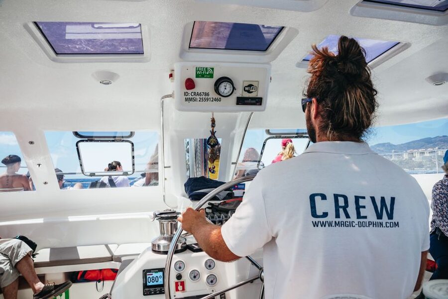 Funchal: Dolphin and Whale Watching by Luxury Catamaran - Who will enjoy this Madeira cruise most?