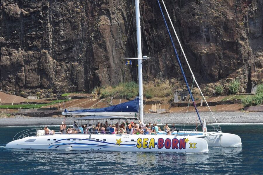 Funchal: Dolphin and Whale Watching Catamaran Cruise - FAQ