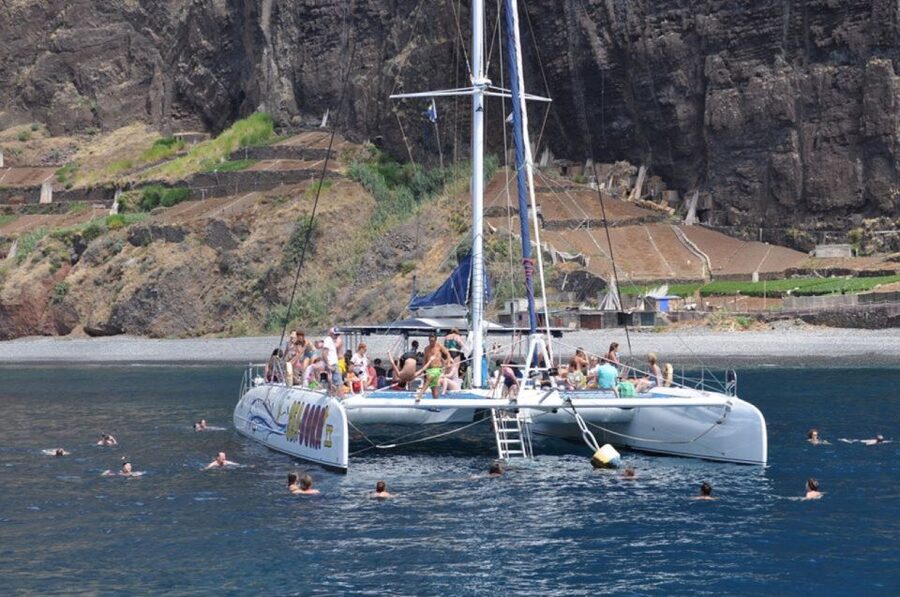 Funchal: Dolphin and Whale Watching Catamaran Cruise - A responsible wildlife trip, with limits