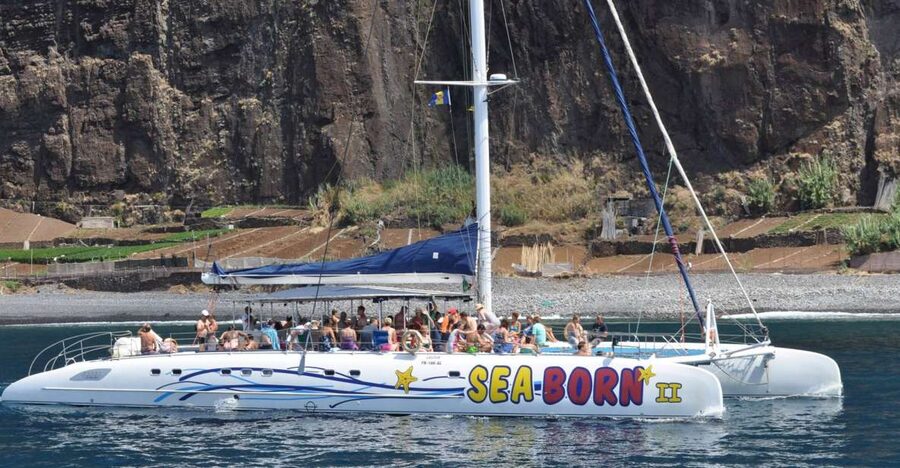 Funchal: Dolphin and Whale Watching Catamaran Cruise - What to bring and what costs extra