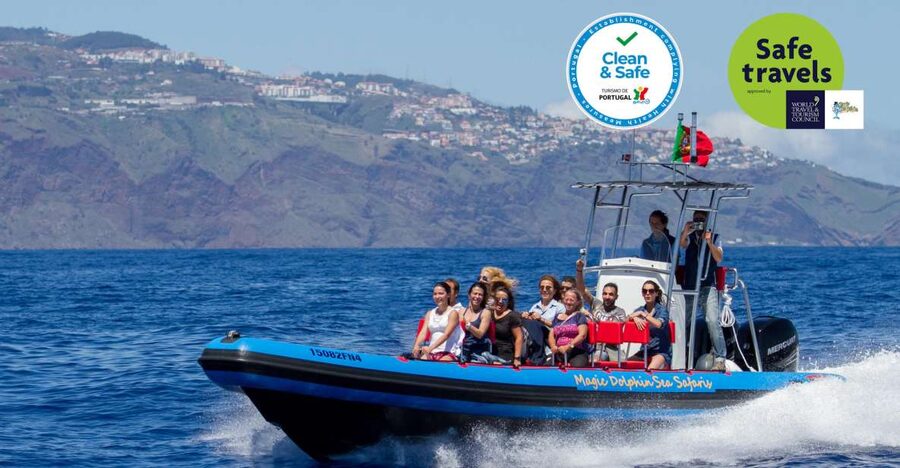 Funchal: Dolphin and Whale Watching Cruise - Why this Funchal wildlife cruise works so well