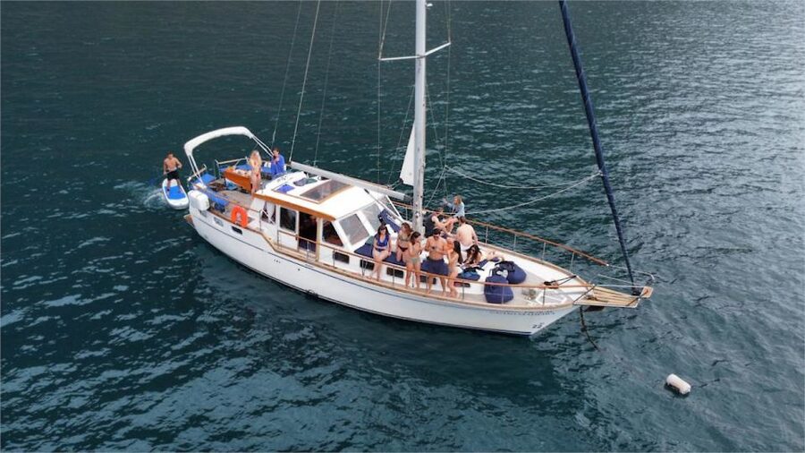 Funchal: Dolphin and Whale Watching Sailing Trip - Setting out from Funchal Marina