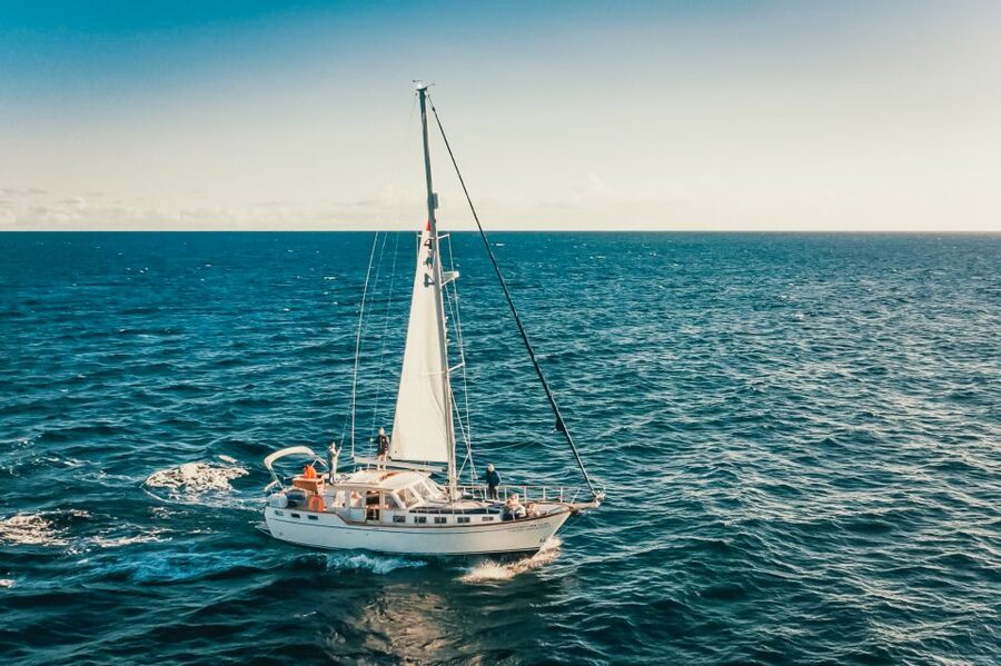 Funchal: Dolphin and Whale Watching Sailing Trip - Is $47 a fair price?