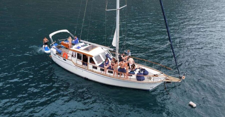 Funchal: Dolphin and Whale Watching Sailing Trip - Searching for dolphins and whales offshore