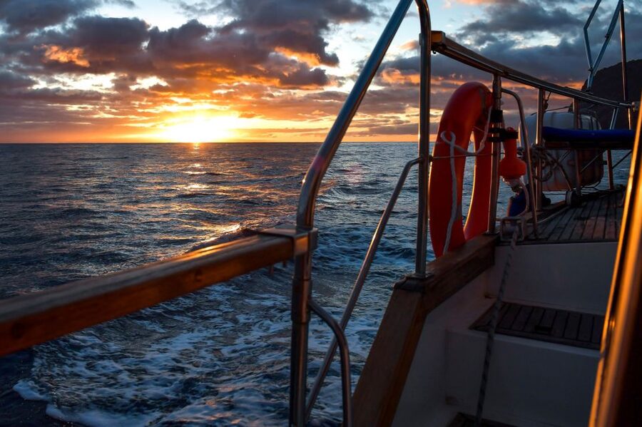 Funchal: Dolphin and Whale Watching Sunset Sailing Tour - A three-hour evening on Madeira’s Atlantic coast