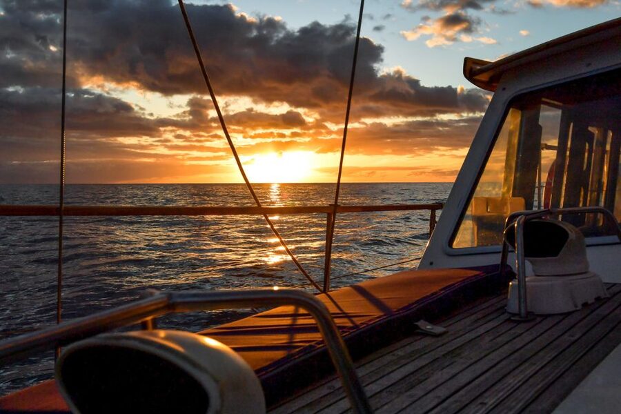 Funchal: Dolphin and Whale Watching Sunset Sailing Tour - Boarding at Cais 8 and settling into the yacht