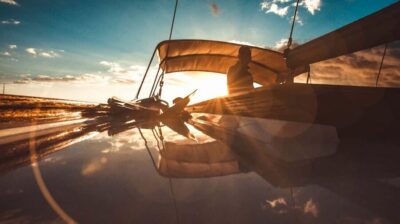 Funchal: Dolphin and Whale Watching Sunset Sailing Tour