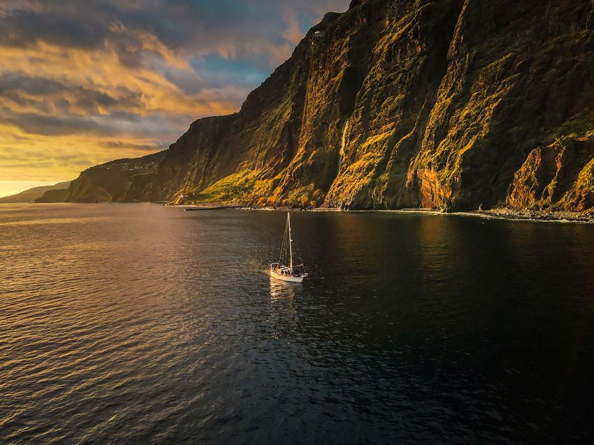 Funchal: Dolphin and Whale Watching Sunset Sailing Tour - Who will enjoy this tour most
