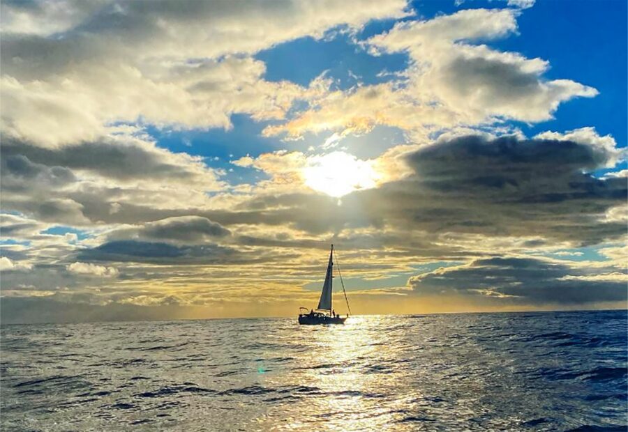 Funchal: Dolphin and Whale Watching Sunset Sailing Tour - What to pack for a comfortable evening