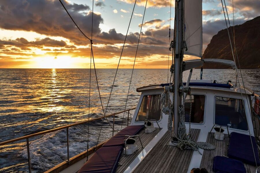 Funchal: Dolphin and Whale Watching Sunset Sailing Tour - Is the wildlife search worth the uncertainty?