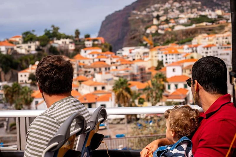 Funchal:Hop-on Hop-off Bus & Whale & Dolphin boat Excursion - Why this combination works well in Funchal