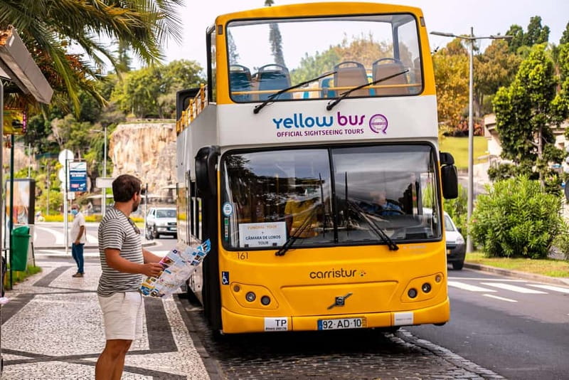 Funchal:Hop-on Hop-off Bus & Whale & Dolphin boat Excursion - Old Funchal, the market, and the cable car