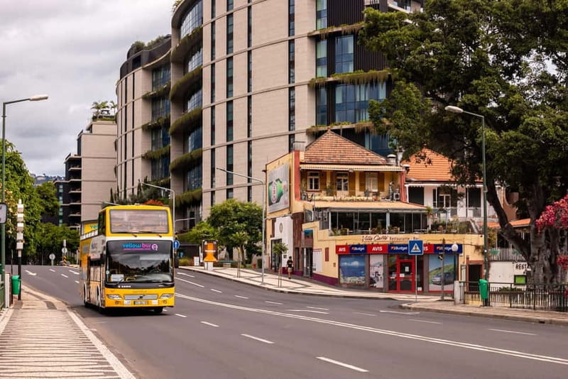 Funchal:Hop-on Hop-off Bus & Whale & Dolphin boat Excursion - What the $54 price means