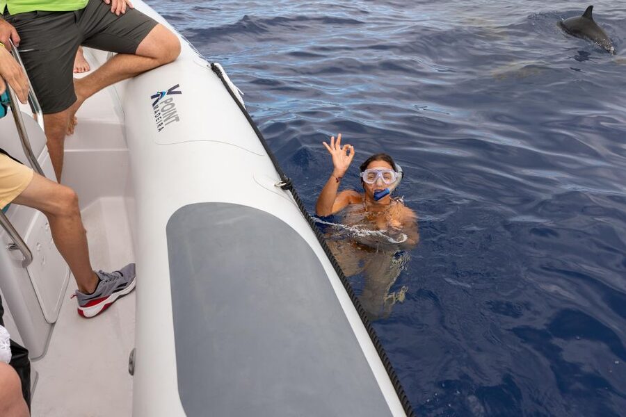 Funchal: RIB Whale Watching Cruise and Optional Dolphin Swim - A close-to-the-water start in Funchal