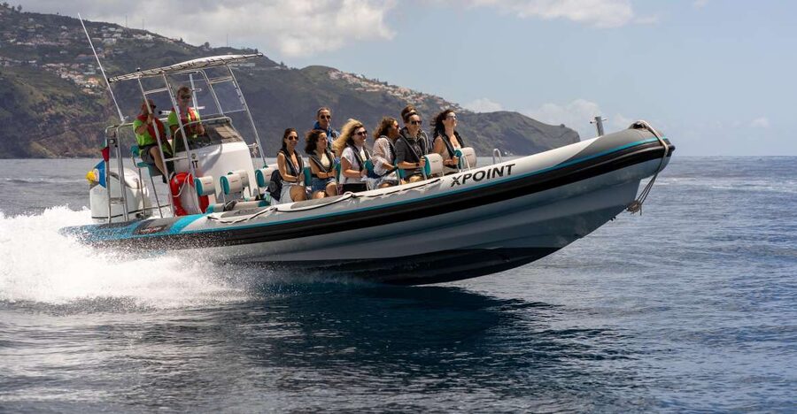Funchal: RIB Whale Watching Cruise and Optional Dolphin Swim - How the whale and dolphin search works