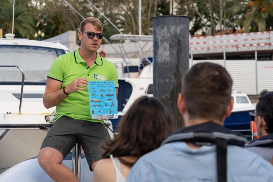 Funchal: RIB Whale Watching Cruise and Optional Dolphin Swim - The optional swim with dolphins