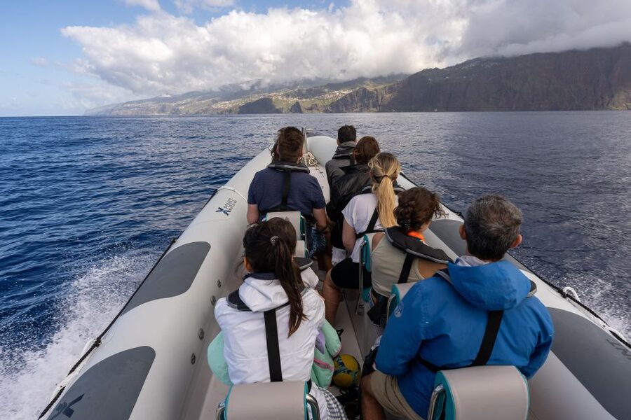 Funchal: RIB Whale Watching Cruise and Optional Dolphin Swim - What the guides add to the outing