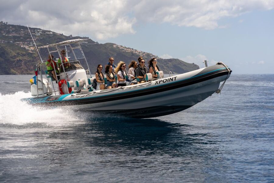Funchal: RIB Whale Watching Cruise and Optional Dolphin Swim - The run along Madeira’s southern coast
