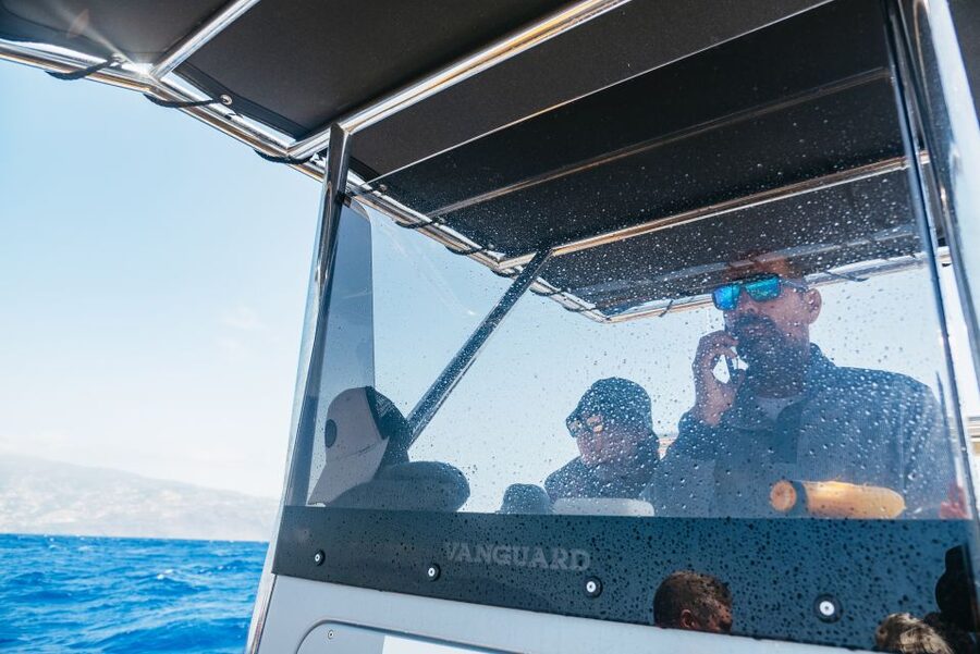 Funchal: Whale and Dolphin Watching Speed Boat Tour - The speed boat ride and Madeira’s coastline