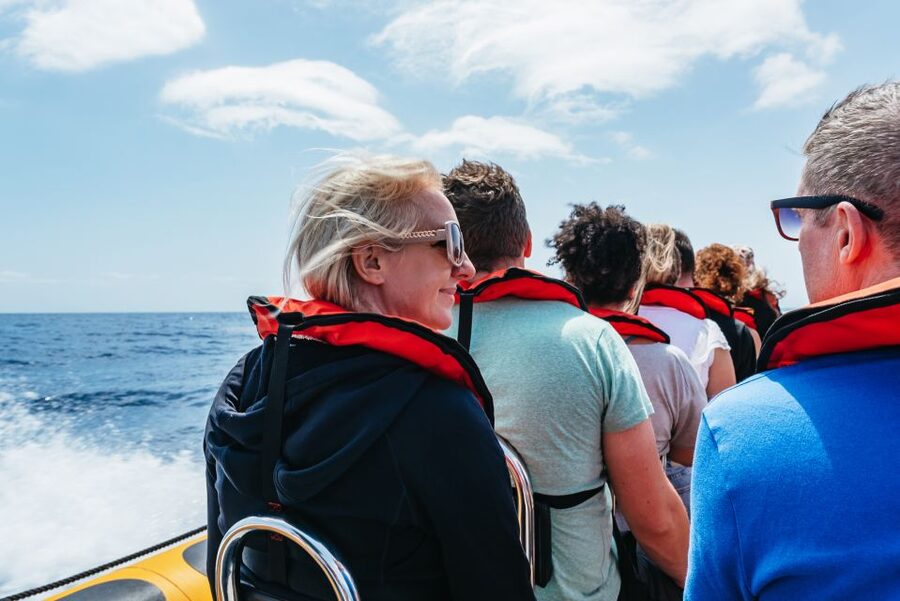 Funchal: Whale and Dolphin Watching Speed Boat Tour - How close will you get to the animals?