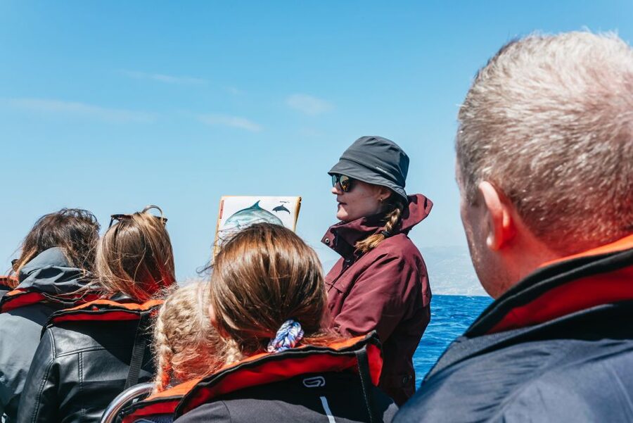 Funchal: Whale and Dolphin Watching Speed Boat Tour - Who should book this Madeira boat trip?