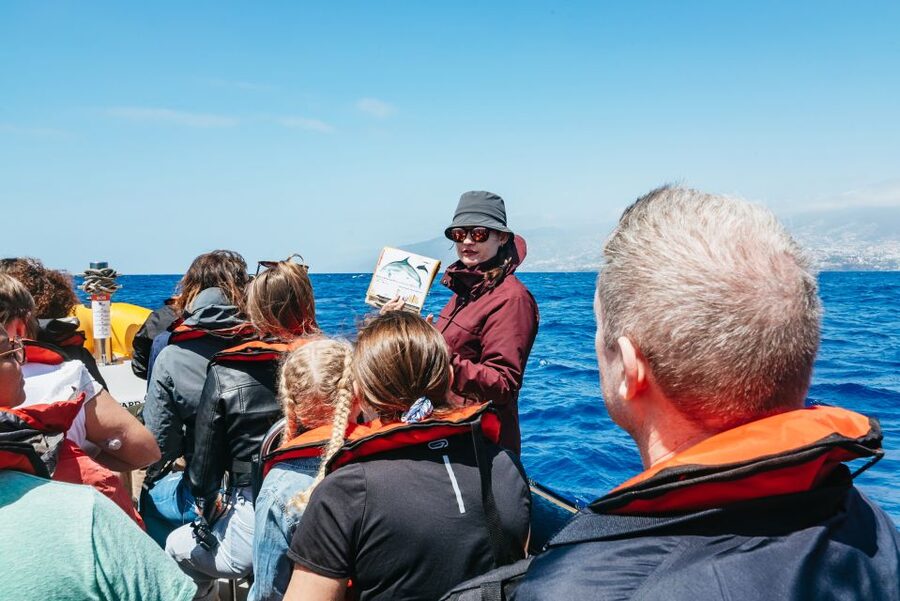 Funchal: Whale and Dolphin Watching Speed Boat Tour - Meeting the crew at Funchal Marina