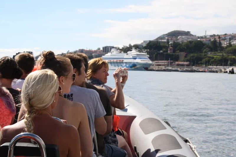 Funchal: Whale Watching and Swimming with Dolphins Cruise - Meeting whales and dolphins in open water