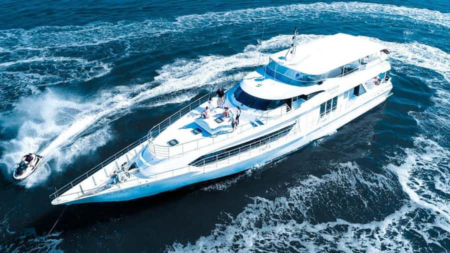 Gold Coast: Luxury Whale Watching Tour - Sun Goddess gives you room to search