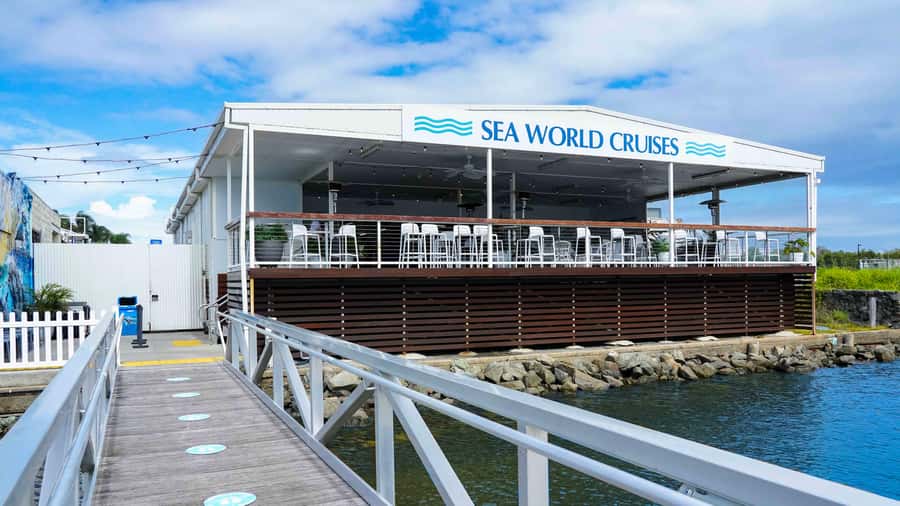 Gold Coast: Premium Whale Watching Cruise - Listening below the surface