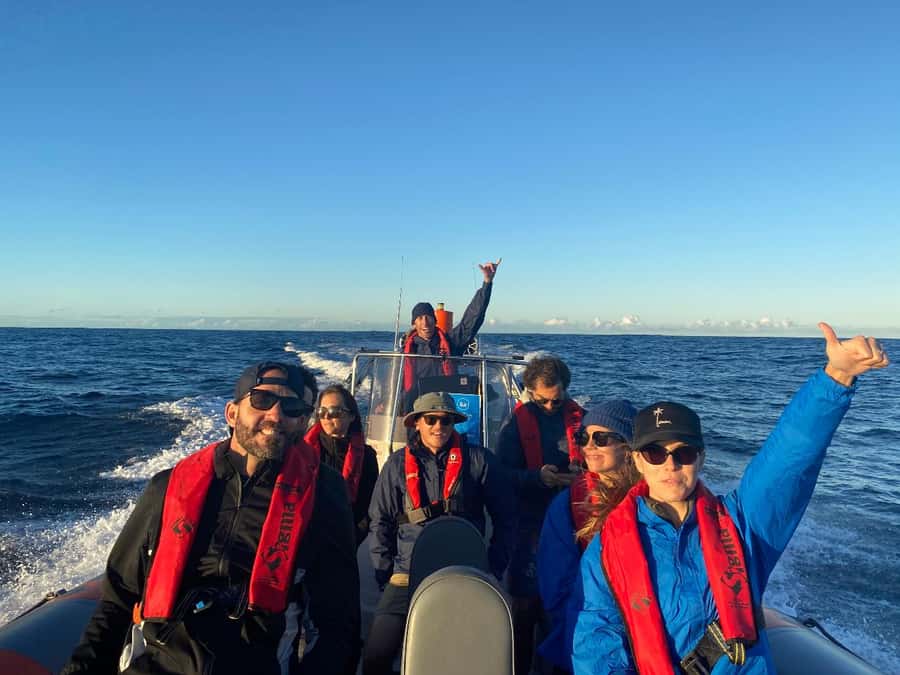 Gold Coast: Whale Watching - Why this stretch of coast is good for whale watching