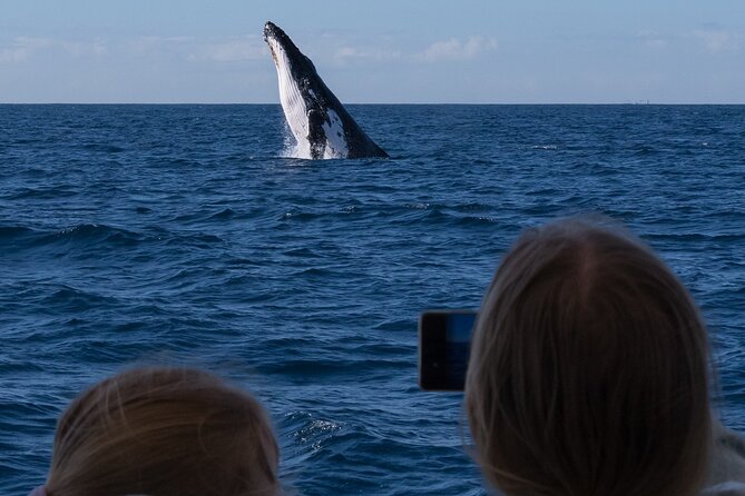 Gold Coast Whale Watching Cruise - Reaching the Gold Coast Whale Highway